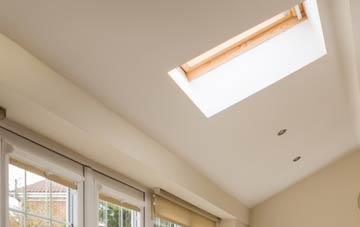 Breinis conservatory roof insulation companies