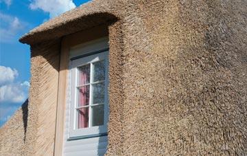 Breinis thatch roof disadvantages